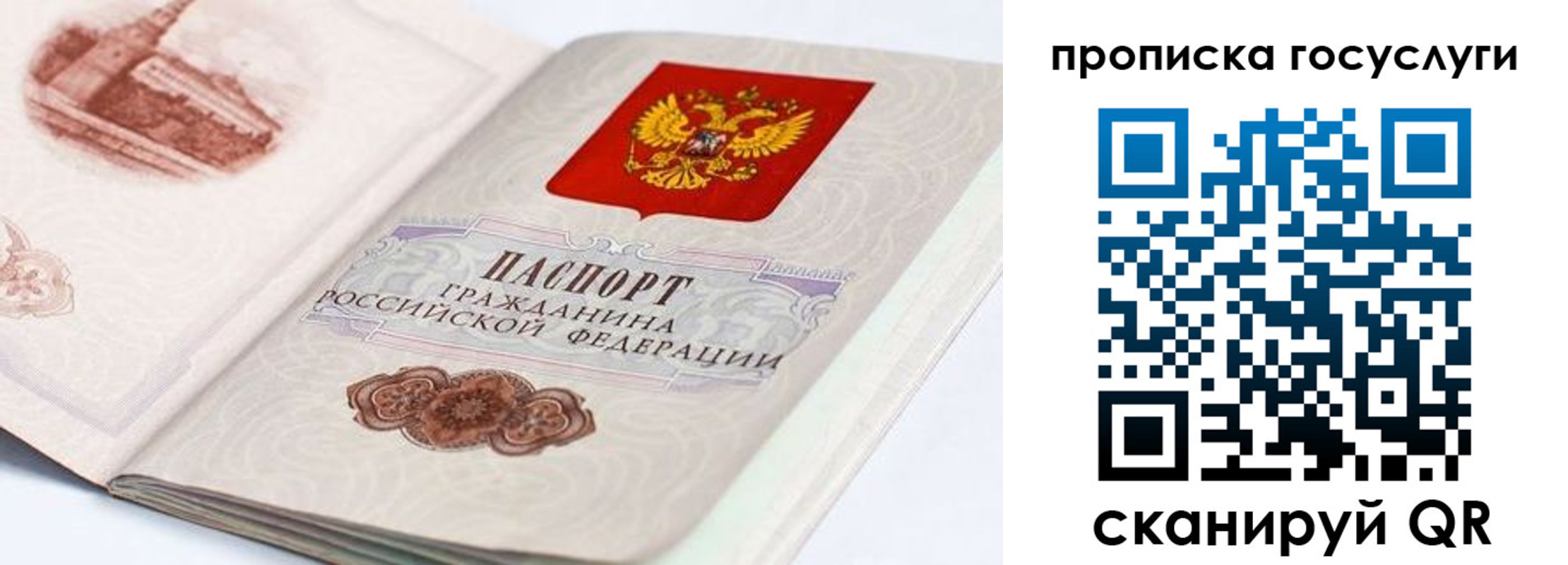 прописка регистрация в Полярных Зорях